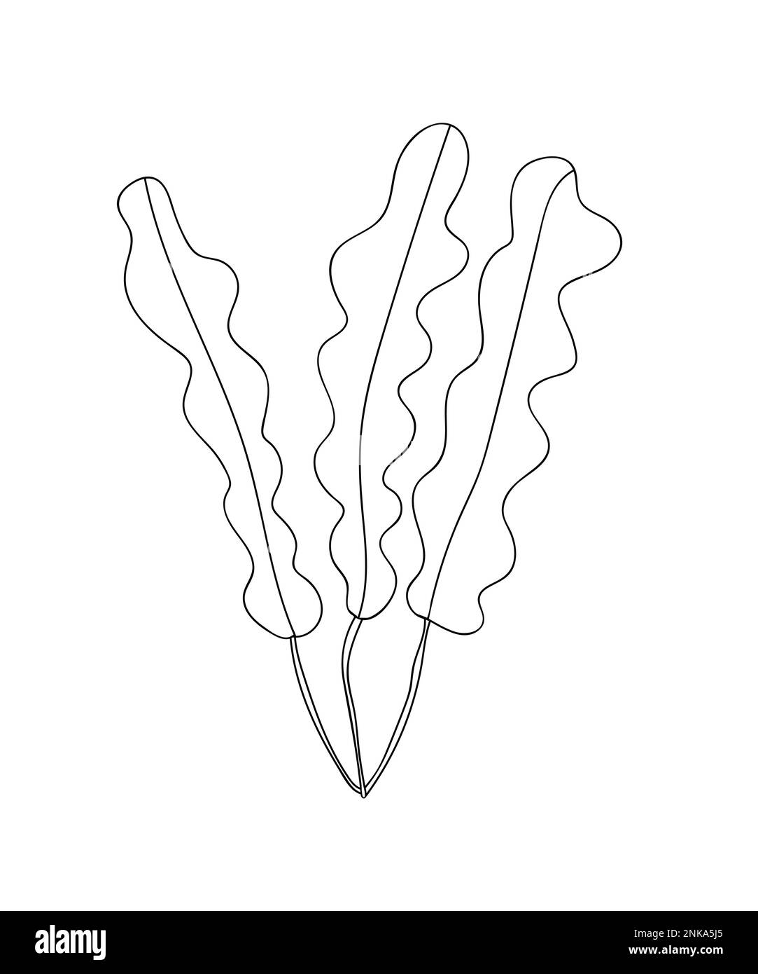 Seaweed vector doodle illustration Stock Vector Image & Art - Alamy