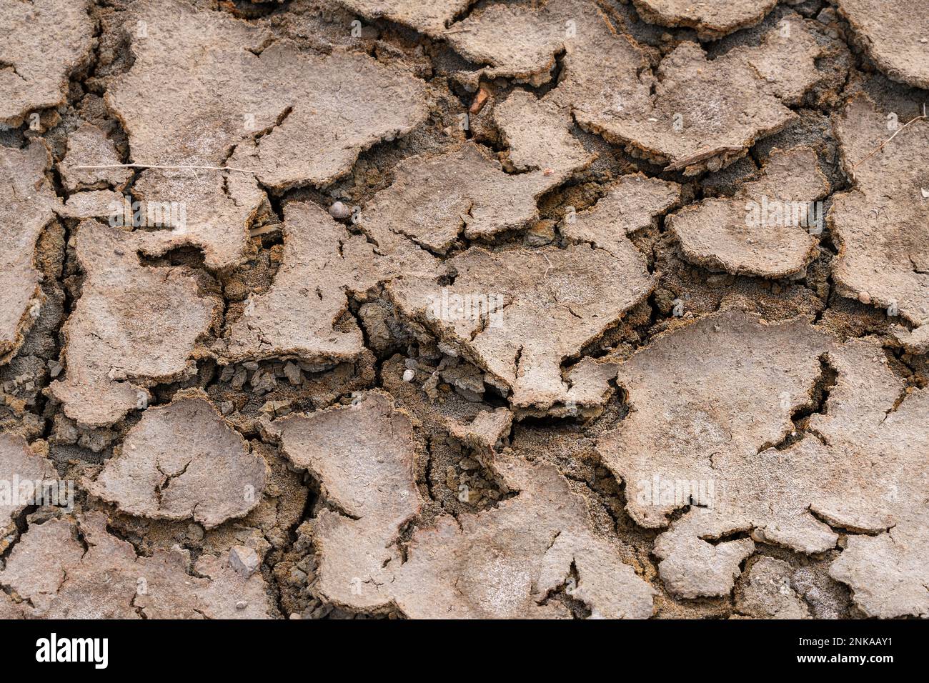 detail of earth cracked by drought Stock Photo