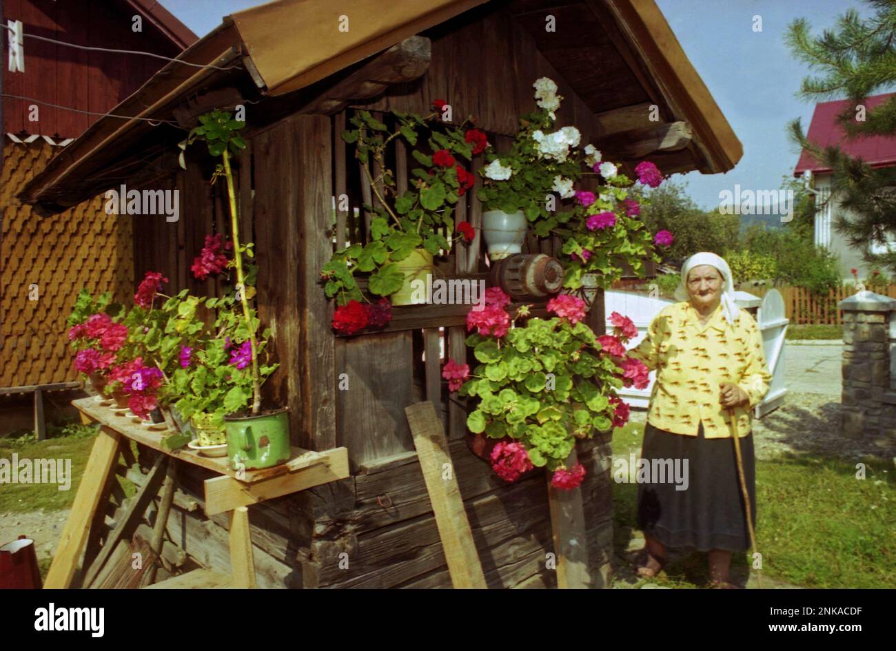 Straja, Suceava County, Romania, 1998. Elderly woman in her yard posing by the flowers hanging on the out of use water well. Stock Photo