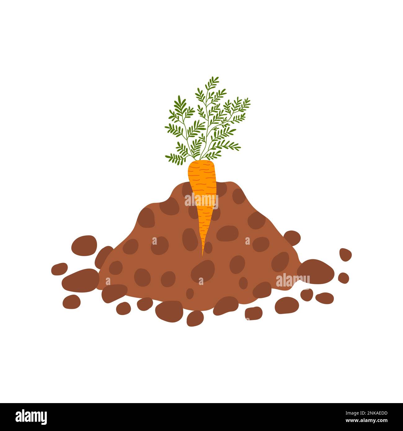 Carrot grow up in the ground Stock Vector