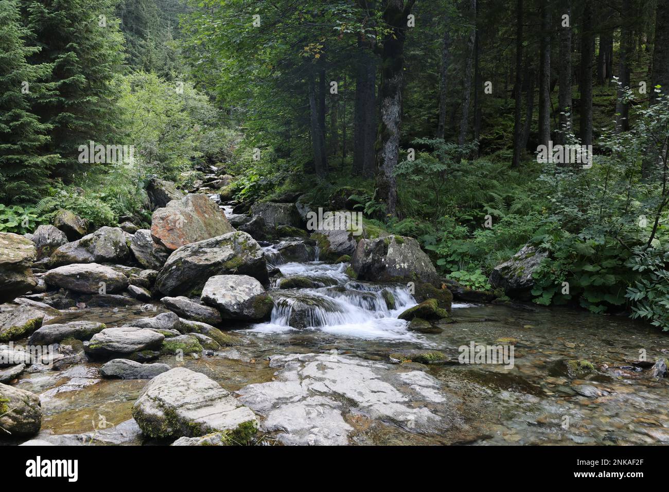 Waterfall and rocks along the hiking trail towards Cascada Bâlea, near the Transfăgărășan road in Romania Stock Photo