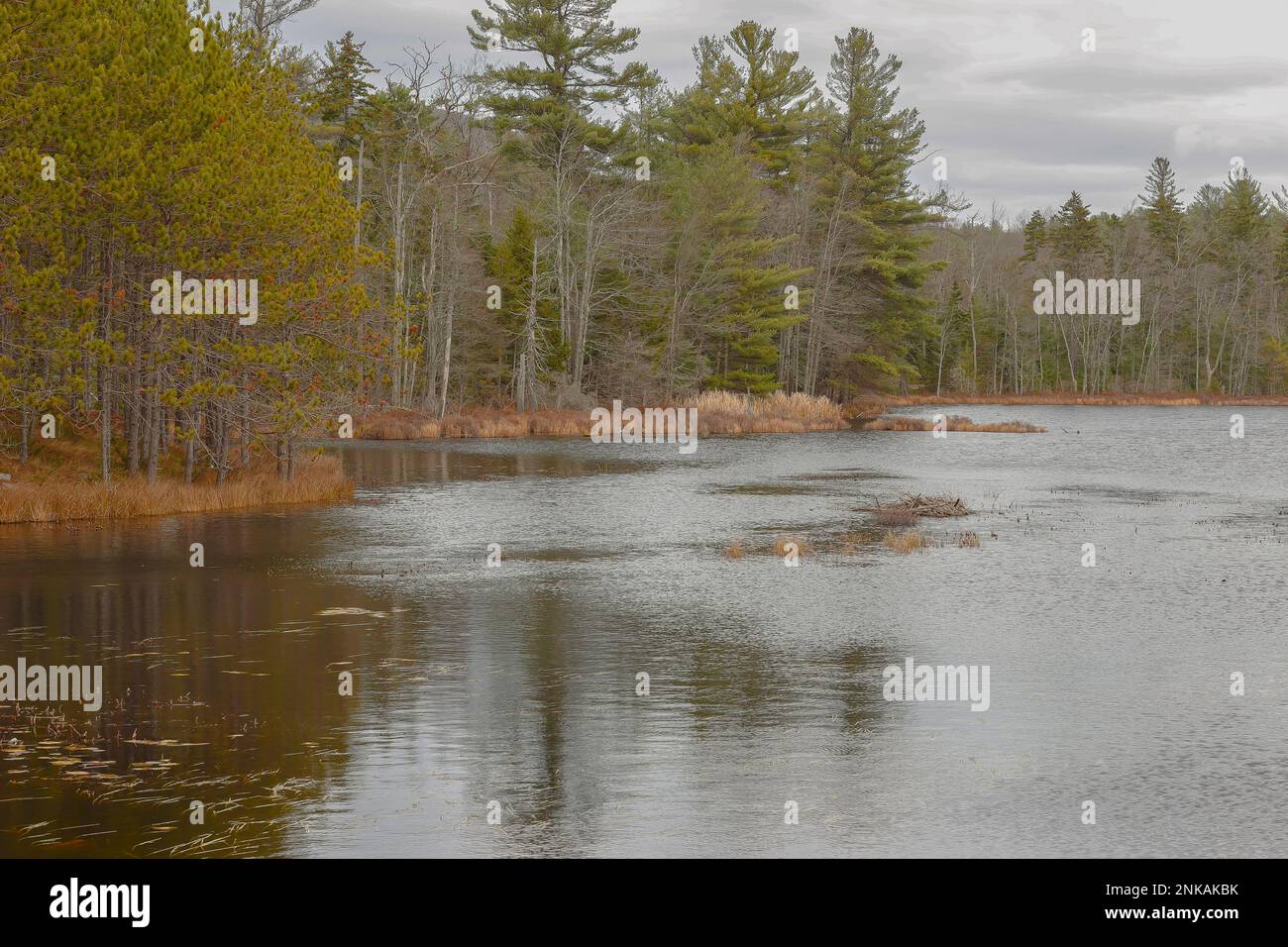 This river is also a state forest that is publicly owned. Large
