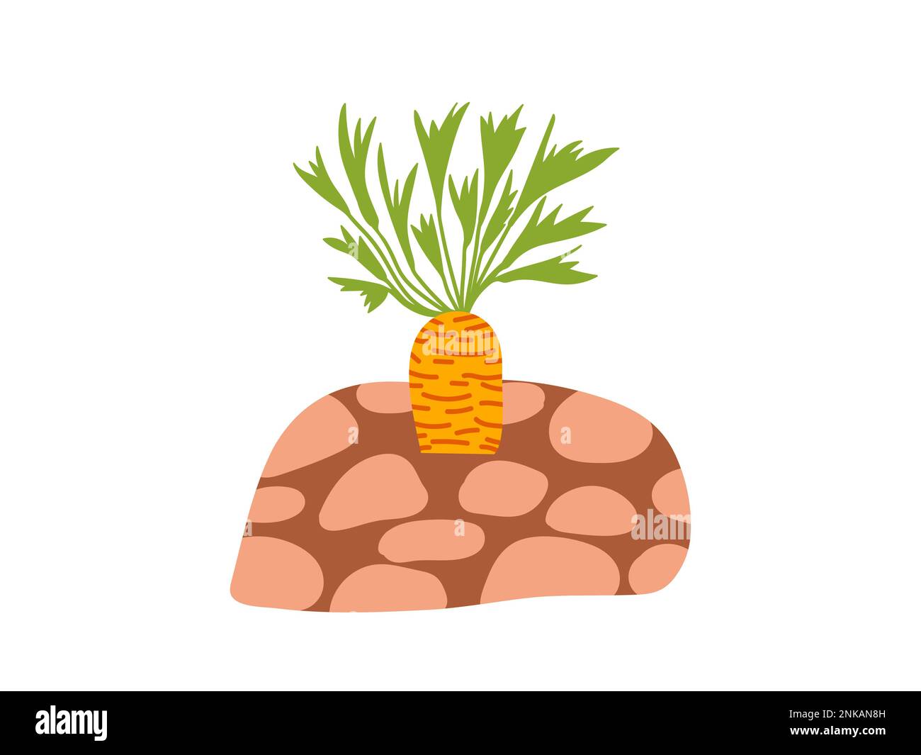 Carrot grow up in the ground Stock Vector