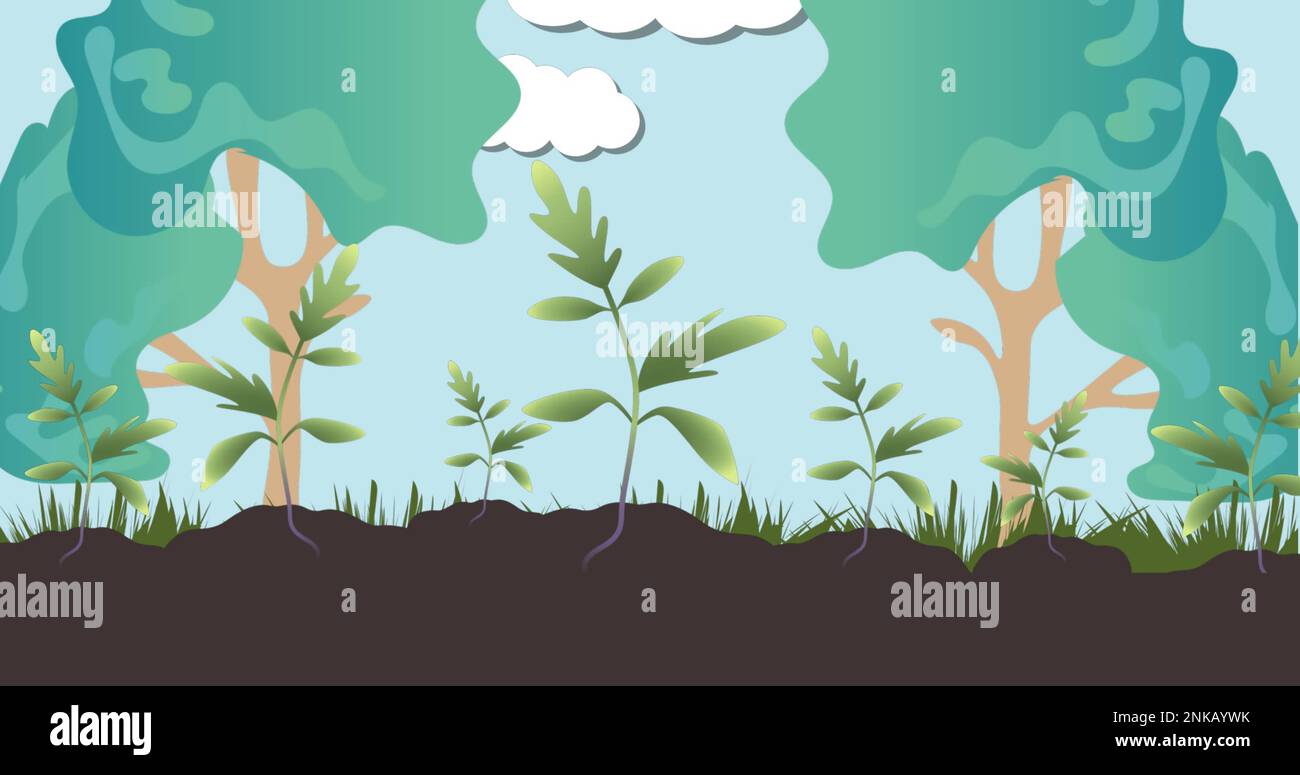 Tree Over Growing Patterns Growing trees hi-res stock photography and images - Alamy