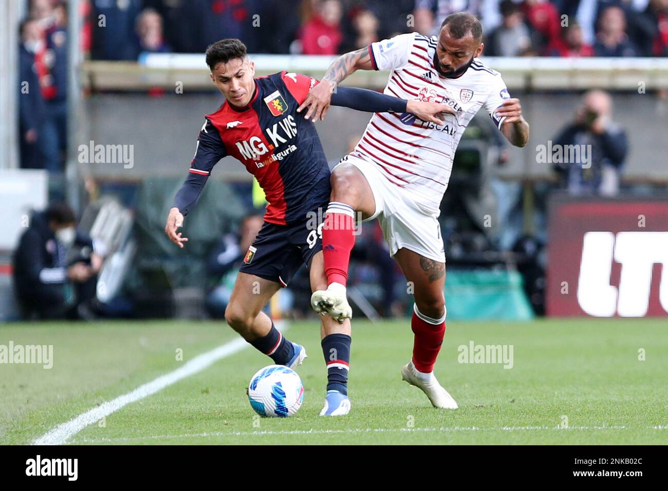 Genoa, Italy. 24 April 2022. Players of Genoa CFC celebrate the victory at  the end of the Serie A football match between Genoa CFC and Cagliari  Calcio. Credit: Nicolò Campo/Alamy Live News