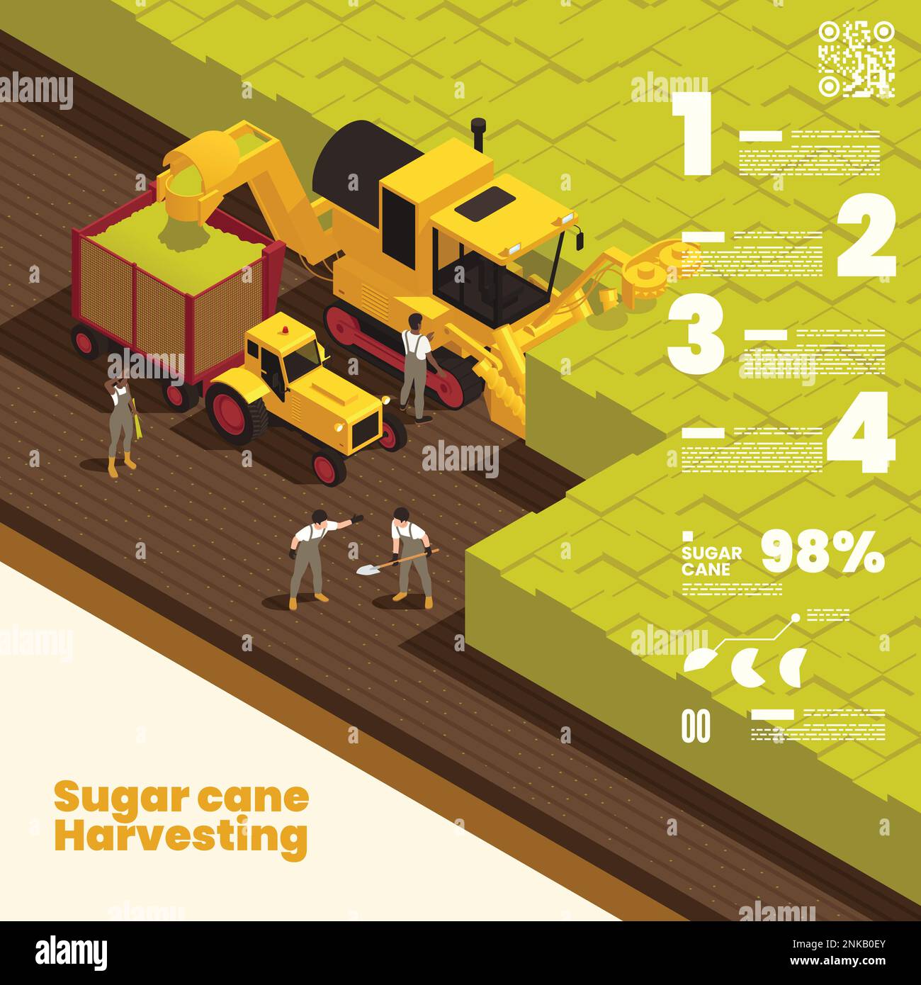 Sugar cane harvesting isometric background depicting collecting process