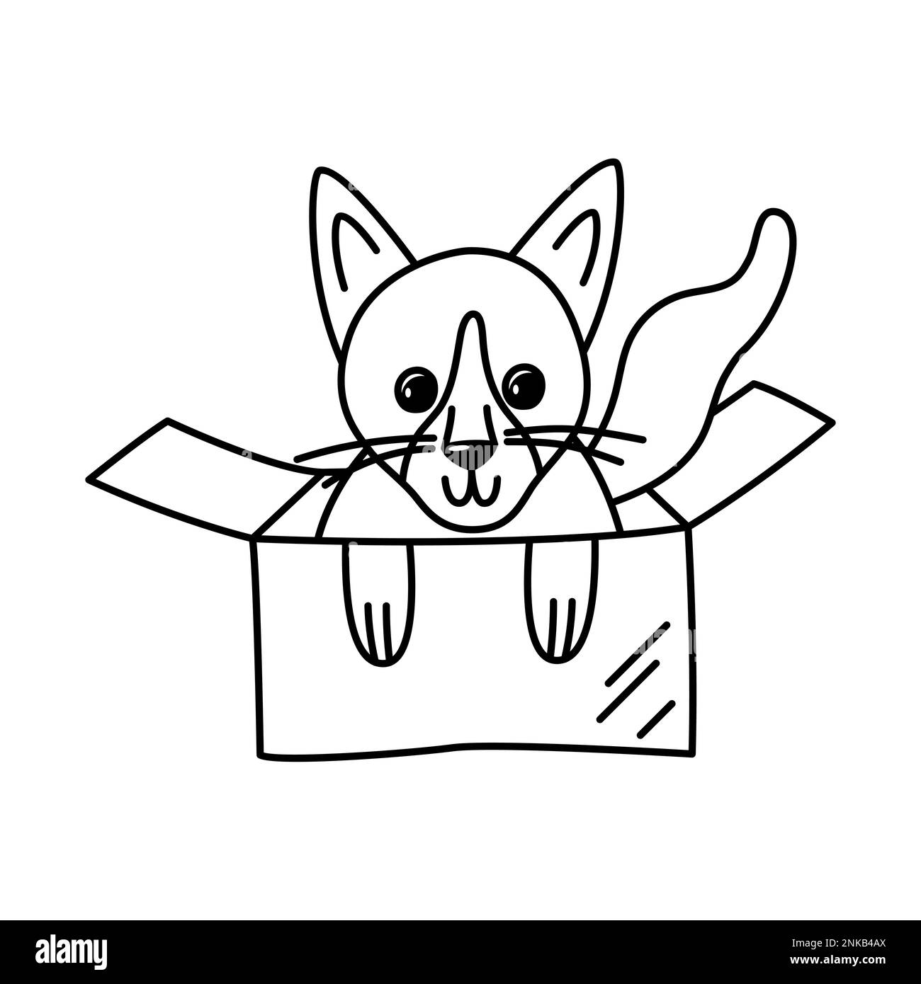 Little Siamese cat in a cardboard box. Linear doodle illustration of a