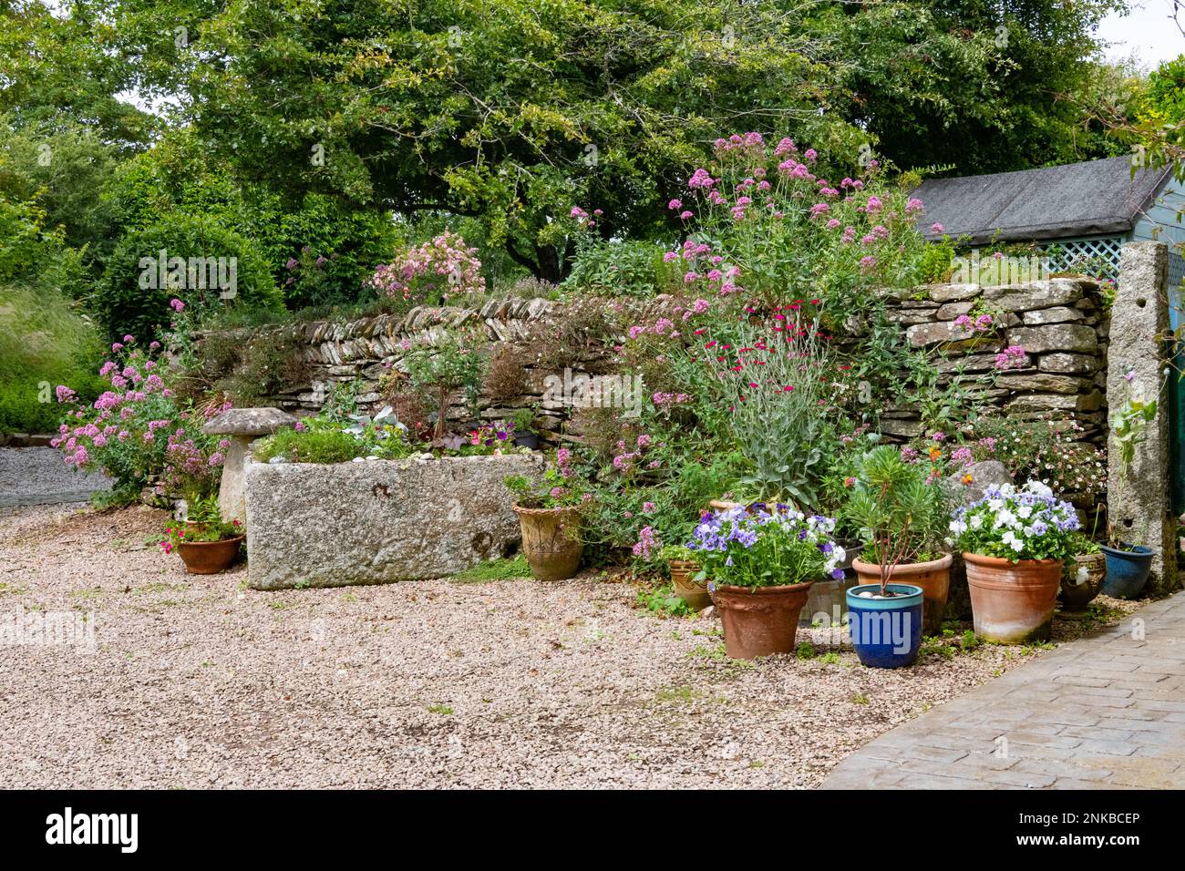 series of pots planted out against an old stone wall forming part of a courtyard for an English scene Stock Photo