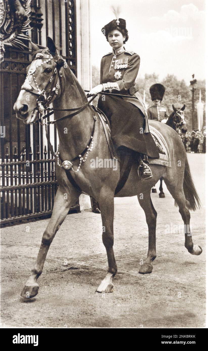 1953 ca.  : The Queen  ELIZABETH II of ENGLAND ( born 1926 )  - REALI - ROYALTY - nobili - nobiltà - nobility  -   - GRAND BRETAGNA - INGHILTERRA   - REGINA  - WINDSOR - horse - cavallo - ippica - cavallerizza - cappello - hat - feathers - piume - granatiere - grenaders - military uniform - uniforme divisa militare - medals - medaglia - medaglie  ----  Archivio GBB Stock Photo