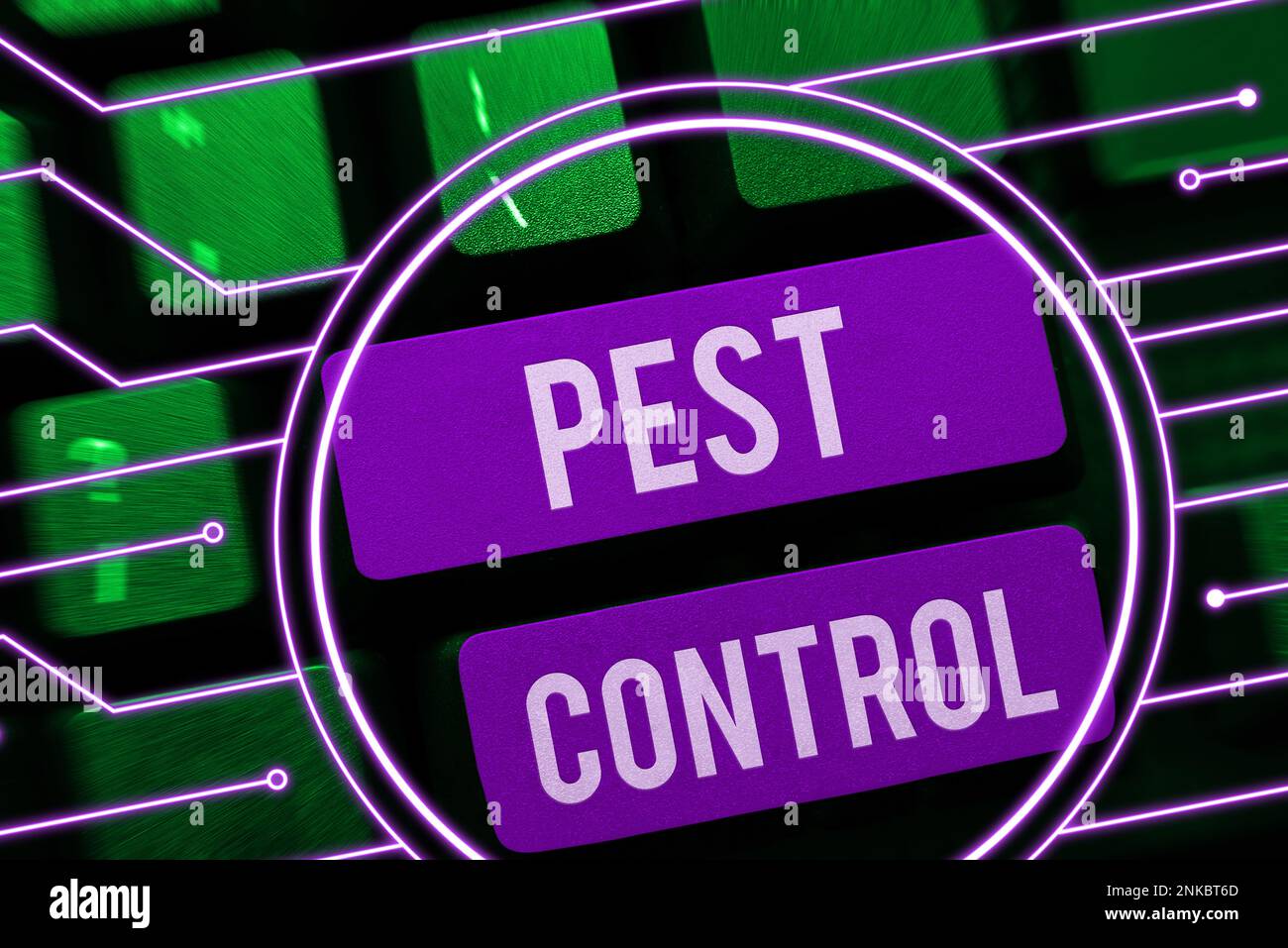 Hand writing sign Pest Control. Internet Concept Killing destructive ...