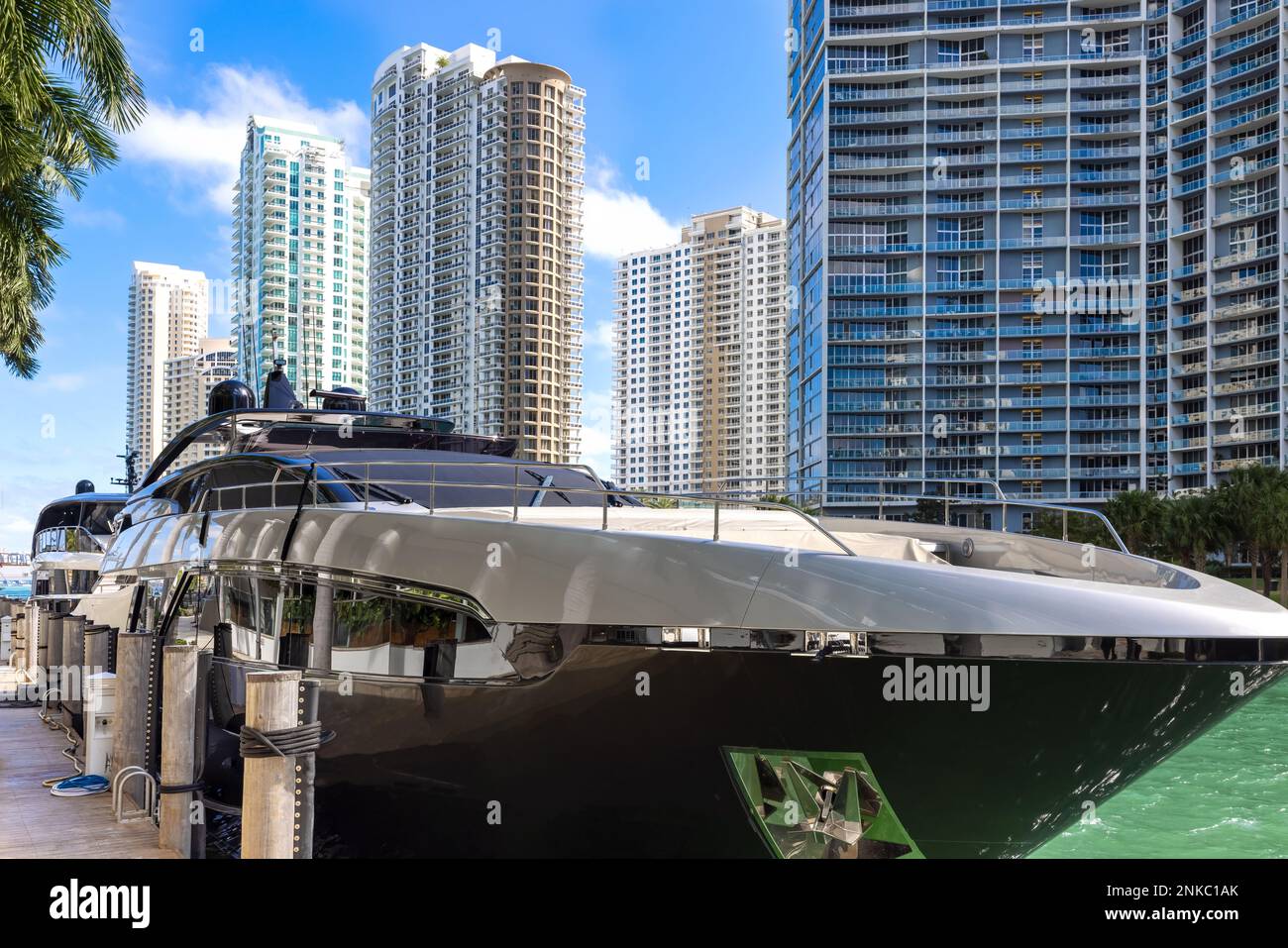 Luxury yachts in Miami marina near financial and business center and