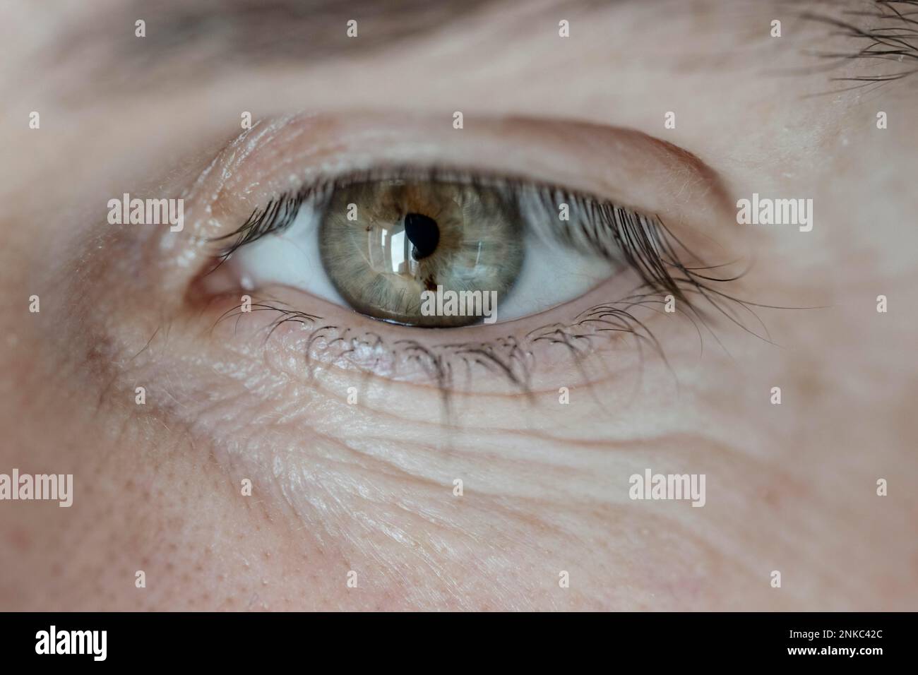 Mans eye, green Stock Photo