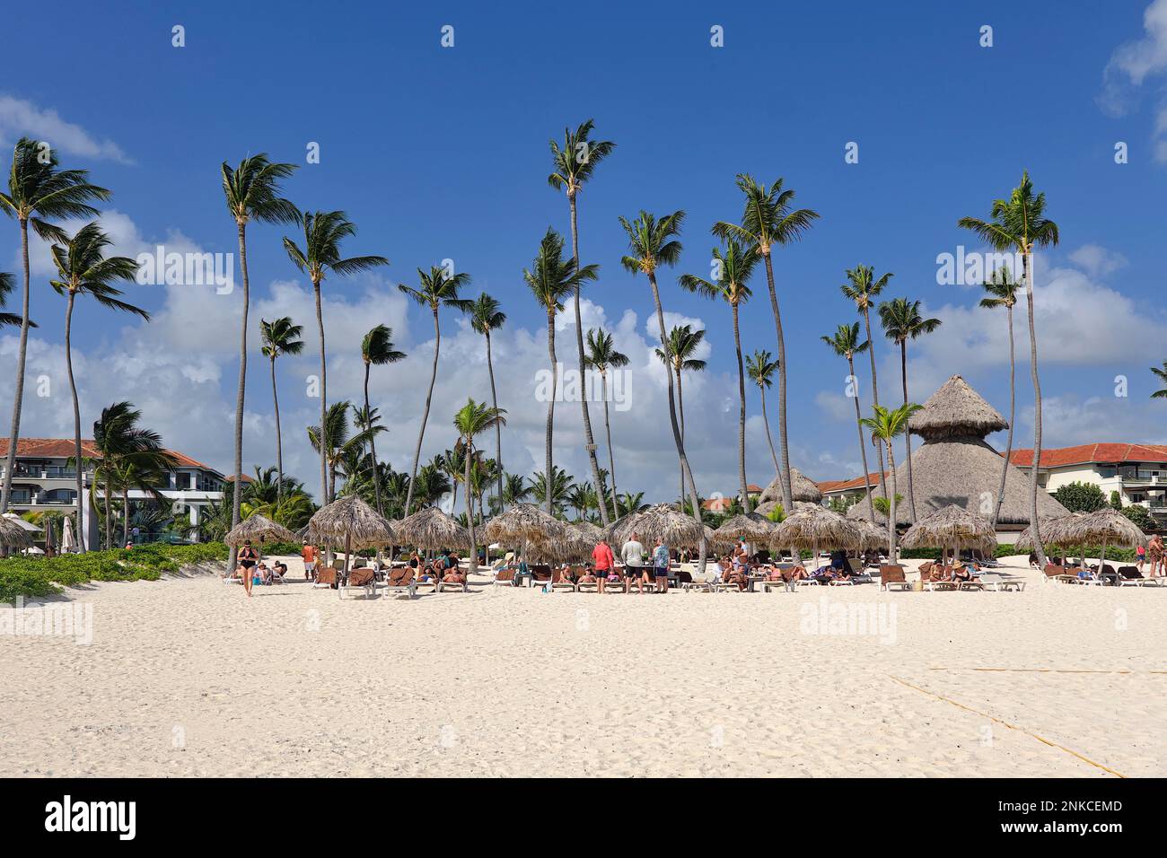 Palm leaf bar and parasols, Los Corales Beach Bavaro, Punta Cana ...