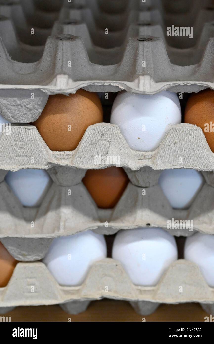 Egg carton eggs Stock Photo Alamy