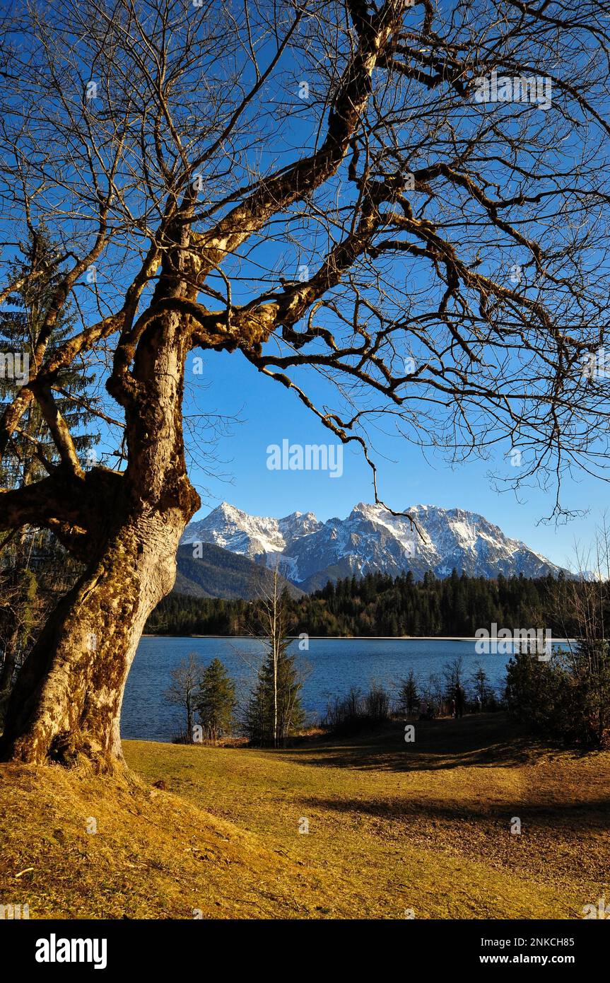 Lake Barmsee in Upper Bavaria, with the Karwendel Mountains in the ...
