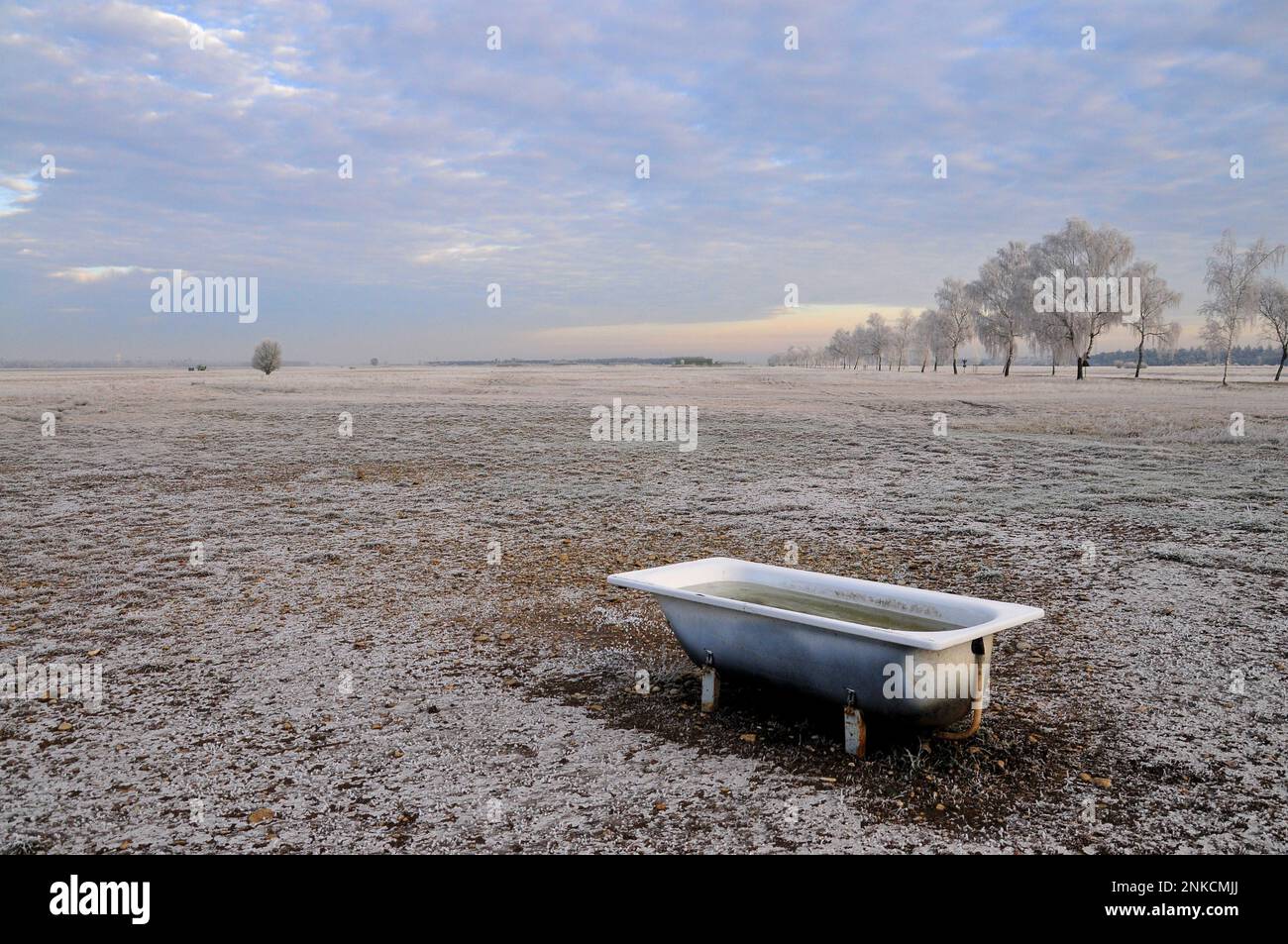 https://c8.alamy.com/comp/2NKCMJJ/sheep-pasture-on-the-lechfeld-south-of-augsburg-in-winter-bathtub-as-cattle-watering-place-swabia-bavaria-germany-2NKCMJJ.jpg