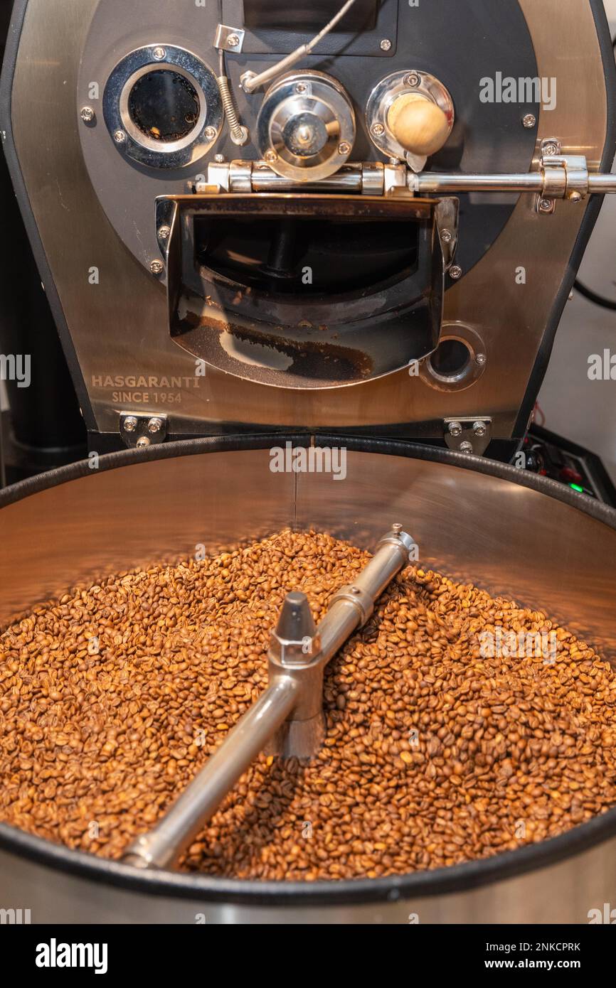 Roasted coffee is poured from the roasting drum into the cooling kettle