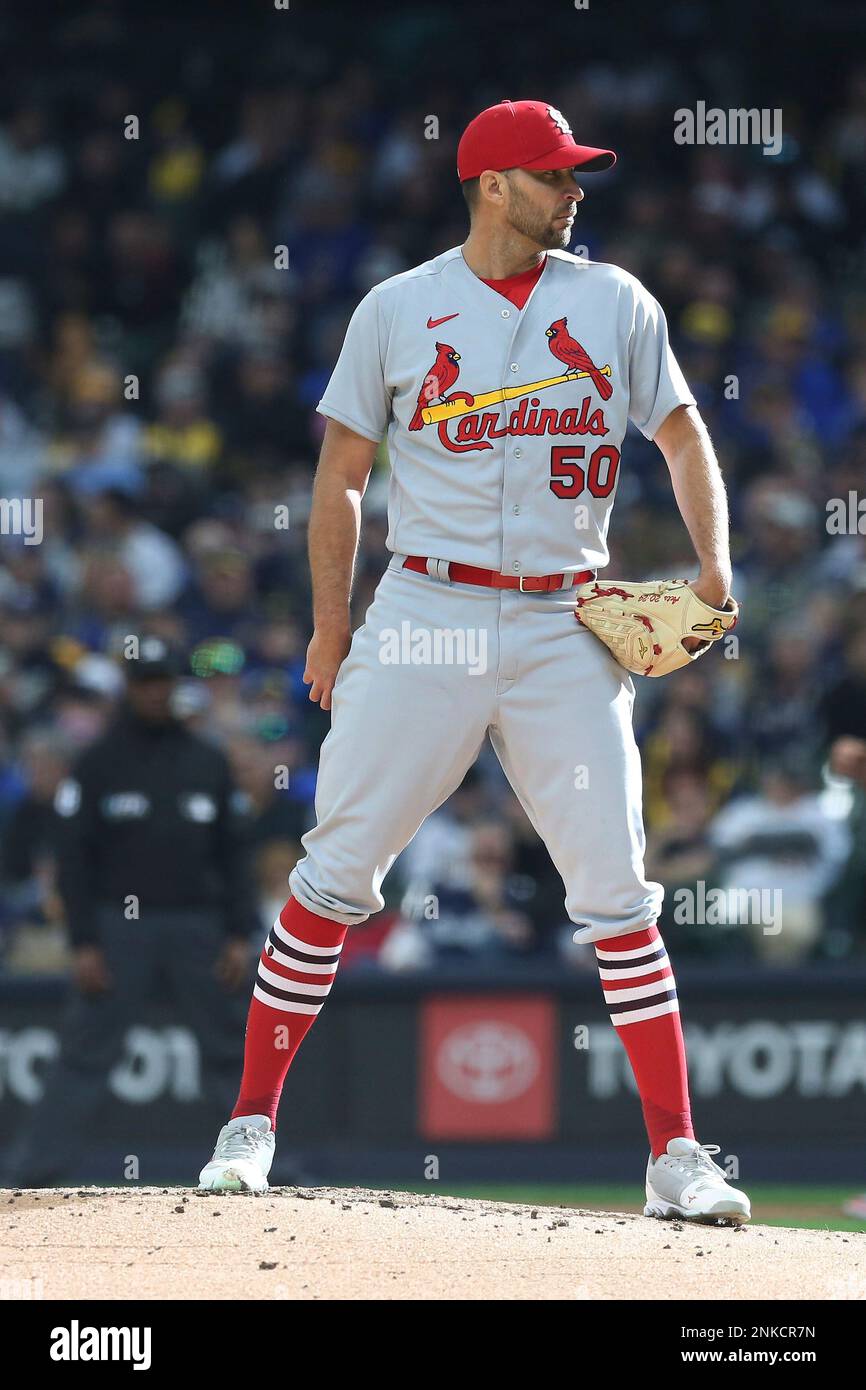MILWAUKEE, WI - APRIL 14: St. Louis Cardinals starting pitcher Adam  Wainwright (50) waits for a sign during a game between the Milwaukee  Brewers and the St. Louis Cardinals at American Family