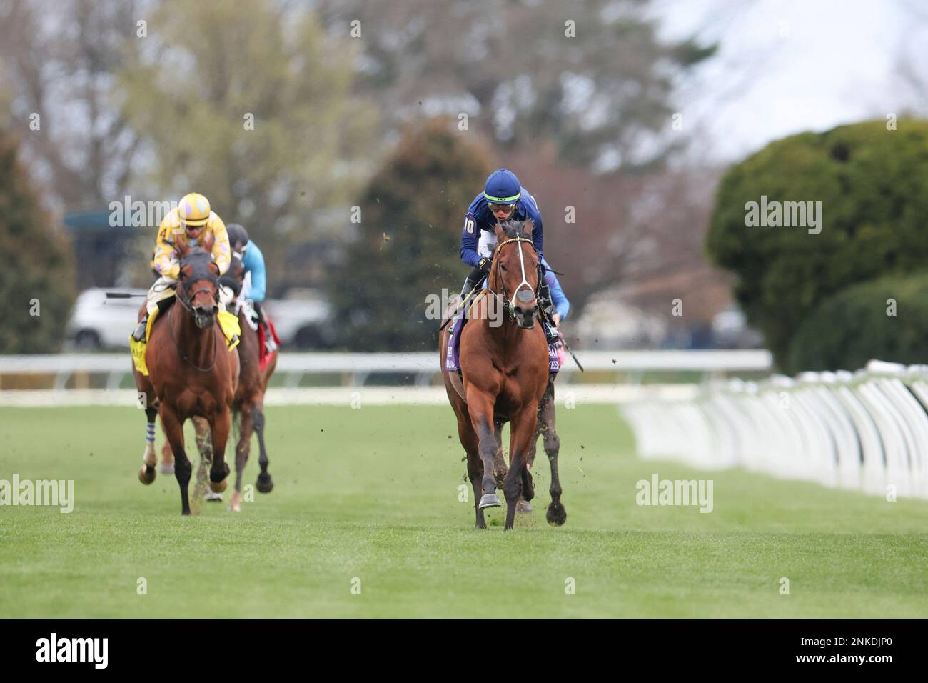 April 9, 2022, Lexington, KY, USA April 9, 2022 Golden Pal (Uncle Mo