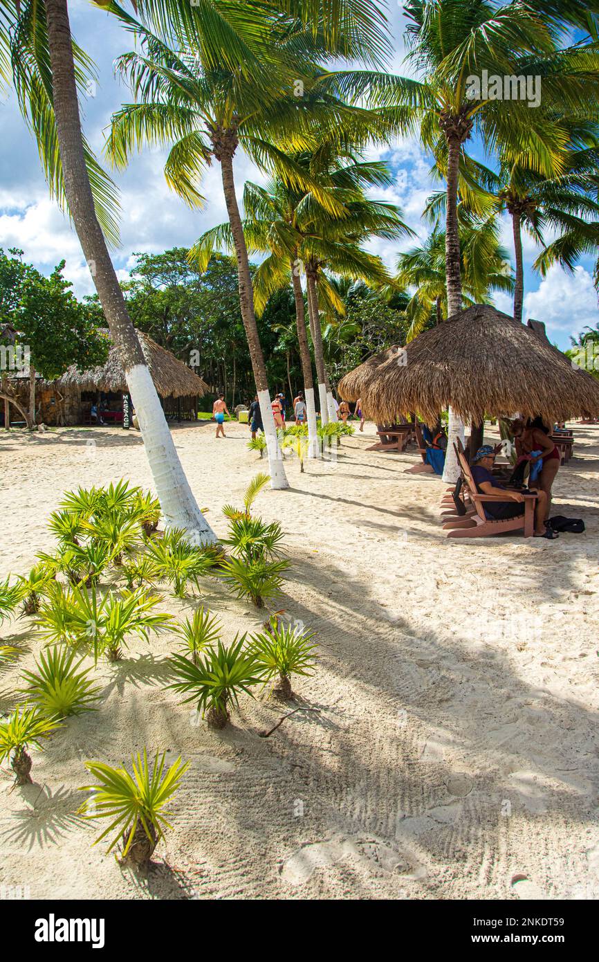 Palm trees, white sand, and a hut, Chankanaab Beach Adventure Park, Cozumel, Mexico Stock Photo