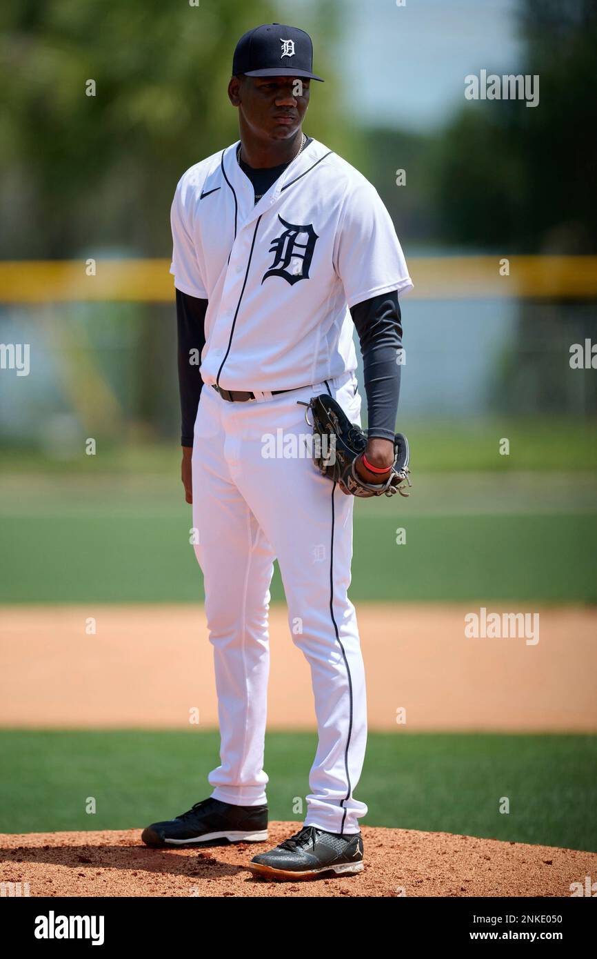 Detroit Tigers pitcher Elvis Alvarado (10) throws live batting practice