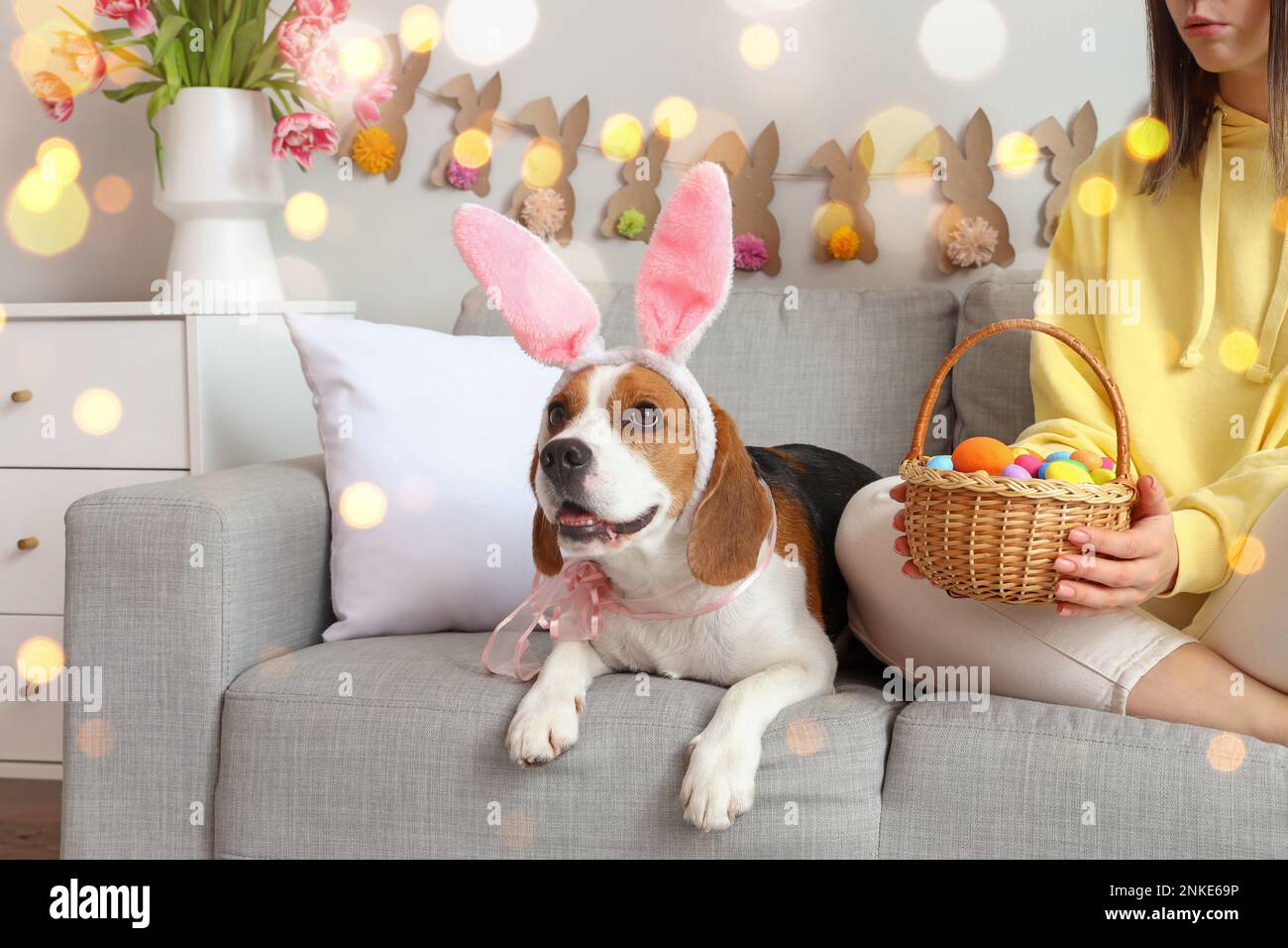 Cute Beagle dog with bunny ears and her female owner with Easter eggs