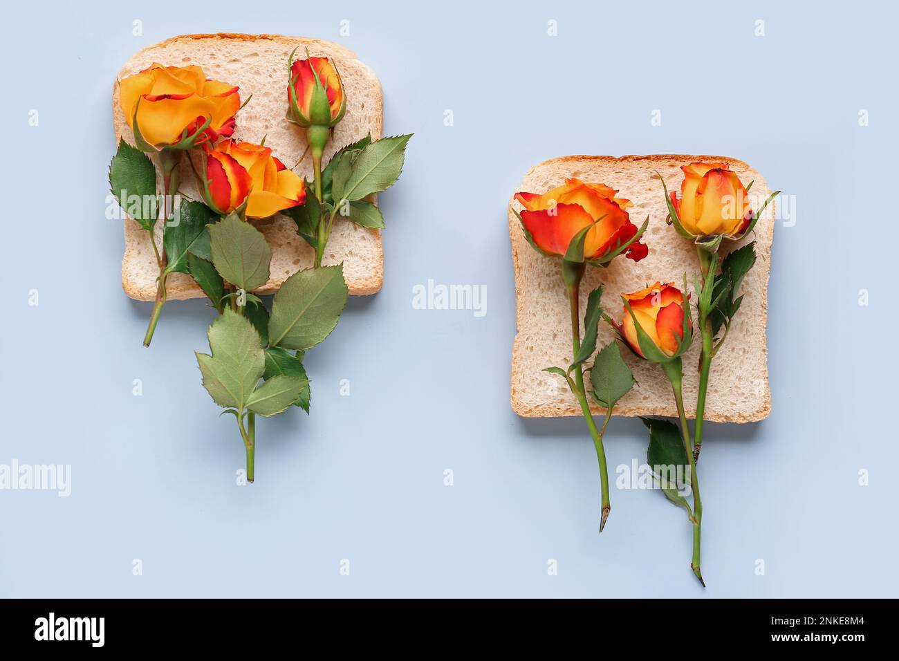Slices of bread with beautiful rose flowers on light background Stock ...