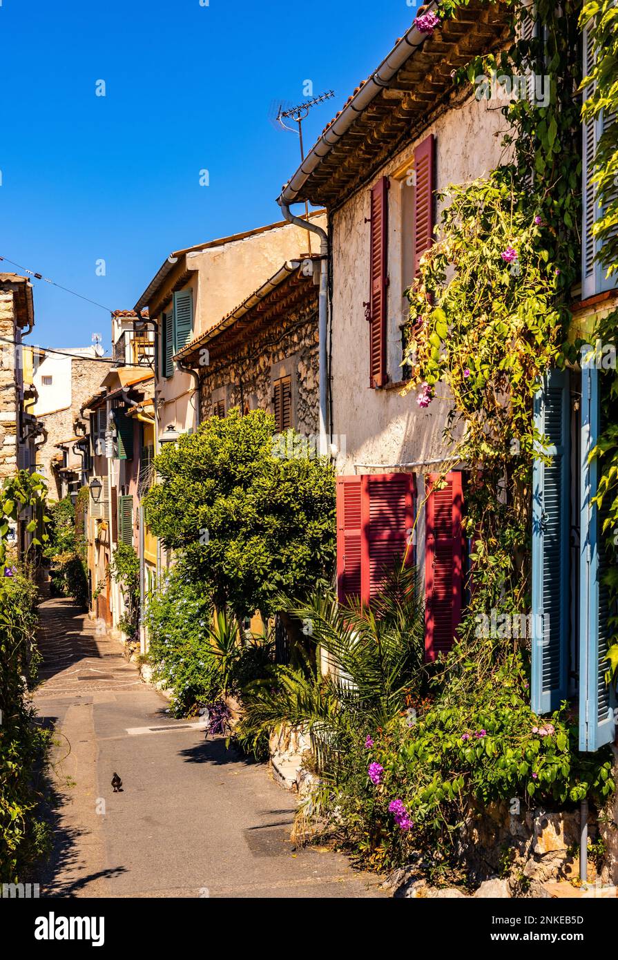 その他 Artbeats French Towns & Villages その他 Artbeats French Towns & Villages