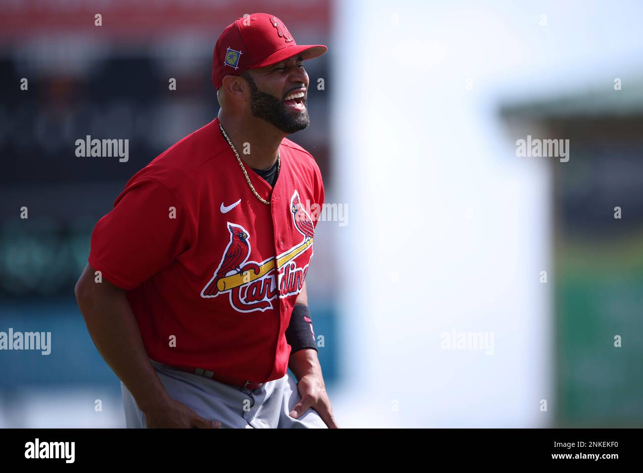 A. J. Pujols, 10, son of St. Louis Cardinals first baseman Albert Pujols,  stretches with the pitchers' group during Cardinals spring training at  Roger Dean Stadium in Jupiter, Florida, Friday, February 18