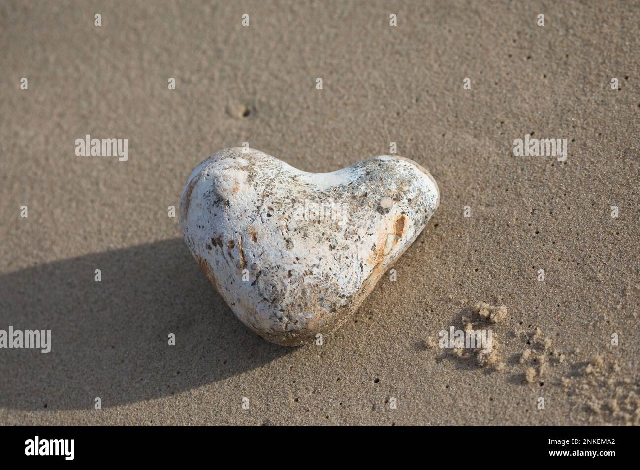 A white heart shaped stone on a beach at Horsey Gap, Norfolk, England, United Kingdom Stock Photo