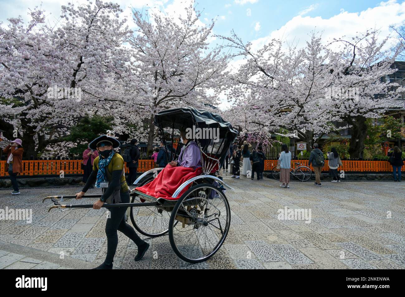 Cherry blossoms are in full bloom at the Gion Shirakawa district in Kyoto City, Kyoto Prefecture on April 4, 2022. ( The Yomiuri Shimbun via AP Images ) Stock Photo