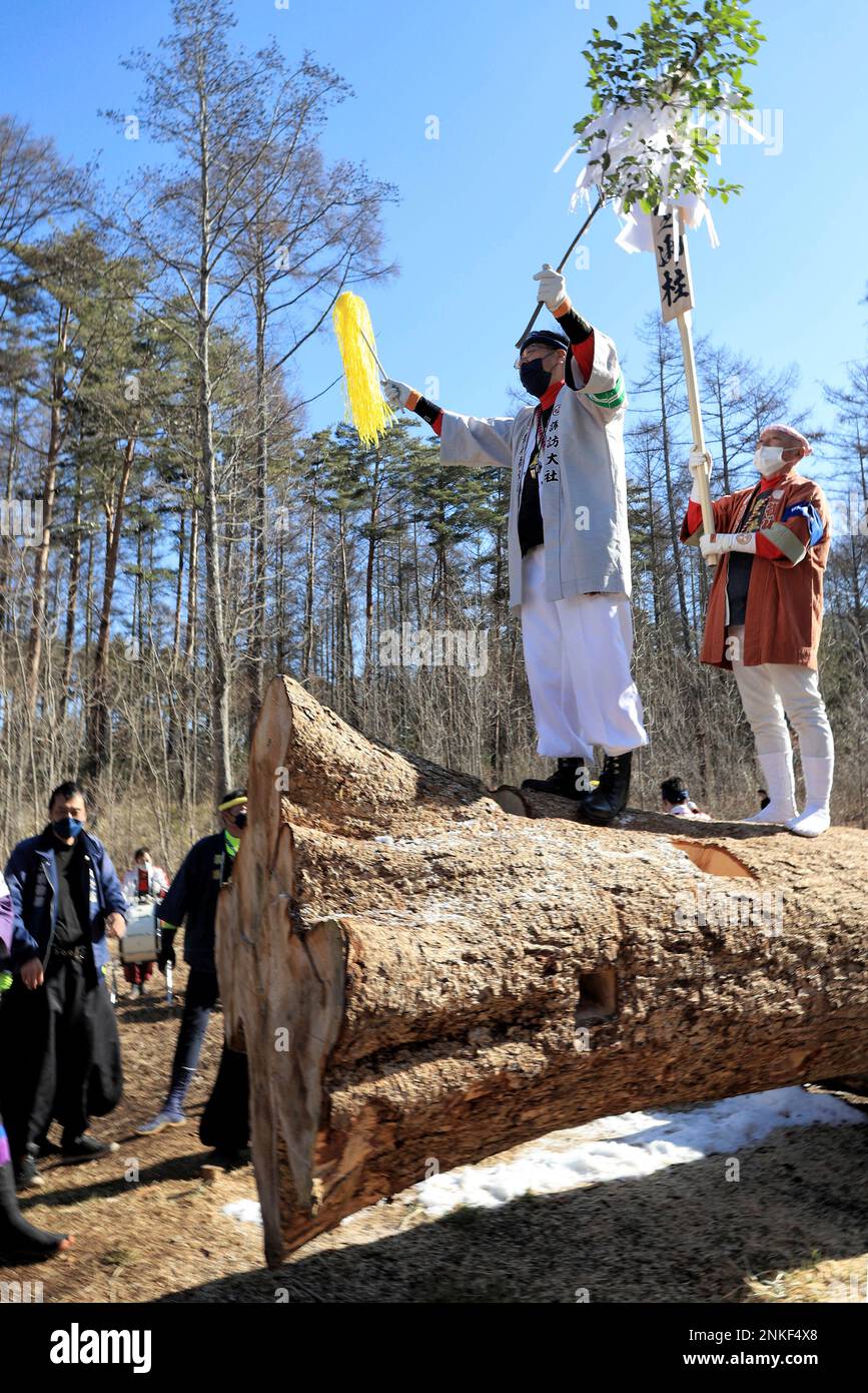 Villagers purifiy trees for the Onbashira Matsuri, also known as the ...