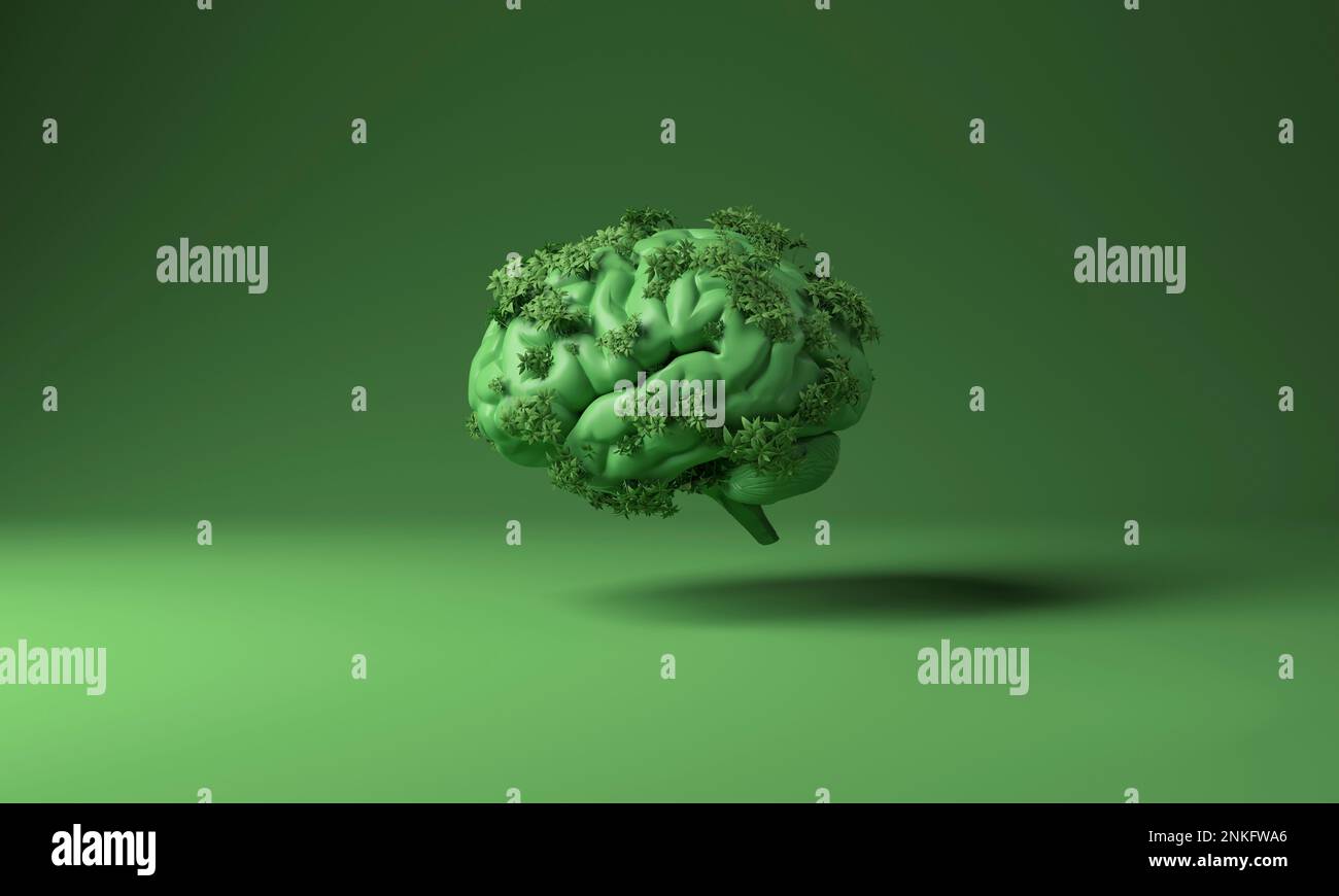 3D illustration of human brain covered with plants over green