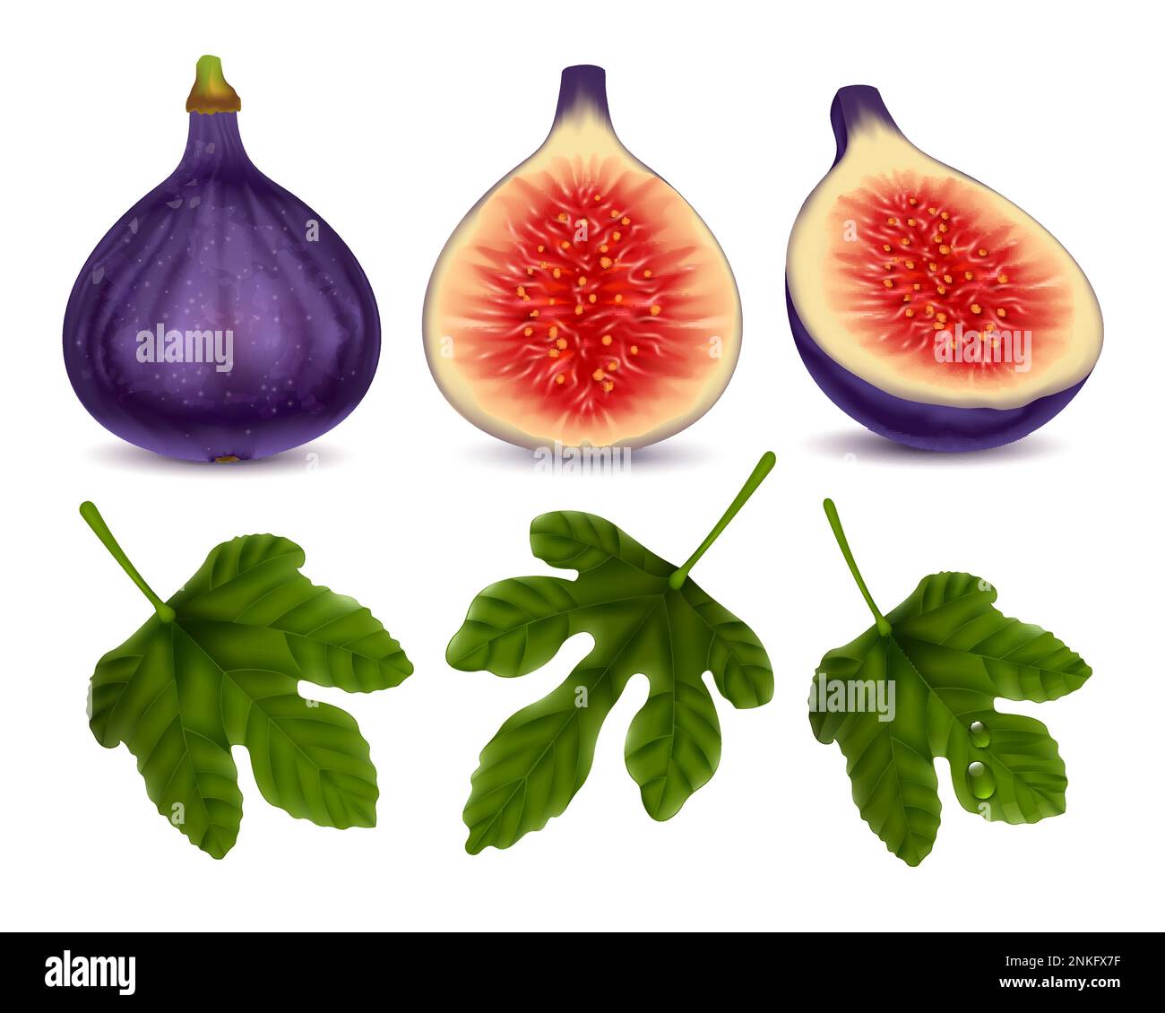 Whole and half figs and green leaves realistic set of common ripe