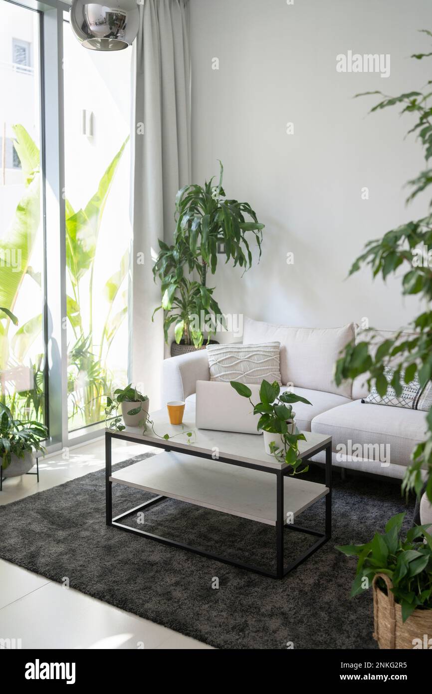 Vertical plants living room hi-res stock photography and images - Alamy