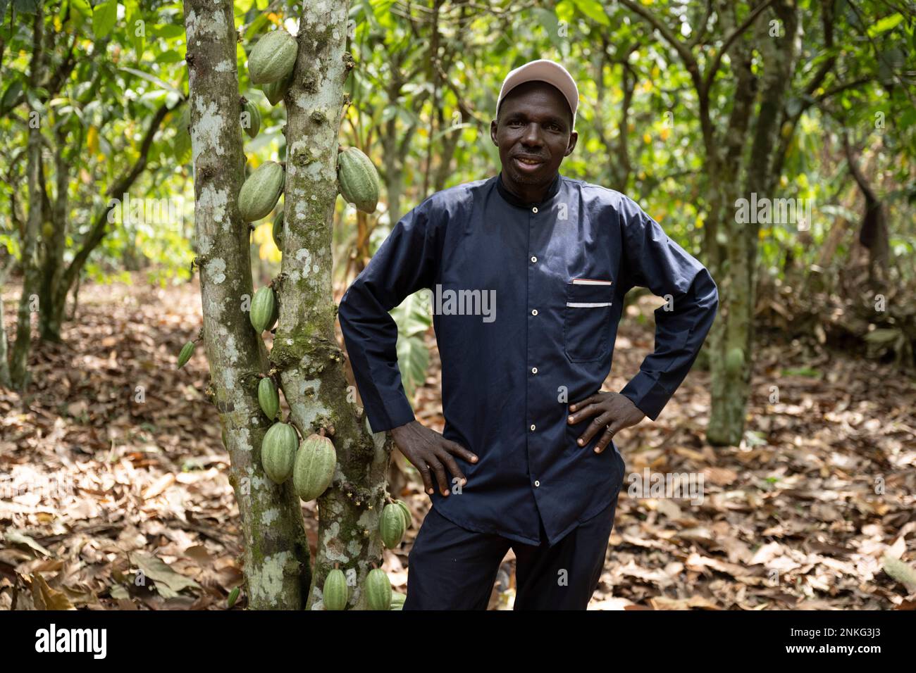 Agboville, Ivory Coast. 23rd Feb, 2023. Sougue Moussa stands next to a cocoa tree on his cocoa plantation. Federal Minister of Labor Heil and Federal Minister for Economic Cooperation and Development Schulze visit Ghana and Côte d'Ivoire. Credit: Christophe Gateau/dpa/Alamy Live News Stock Photo