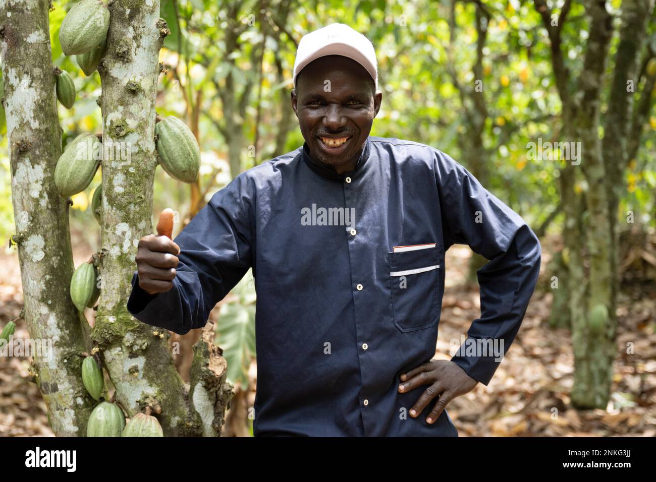 Agboville, Ivory Coast. 23rd Feb, 2023. Sougue Moussa stands next to a cocoa tree on his cocoa plantation. Federal Minister of Labor Heil and Federal Minister for Economic Cooperation and Development Schulze visit Ghana and Côte d'Ivoire. Credit: Christophe Gateau/dpa/Alamy Live News Stock Photo