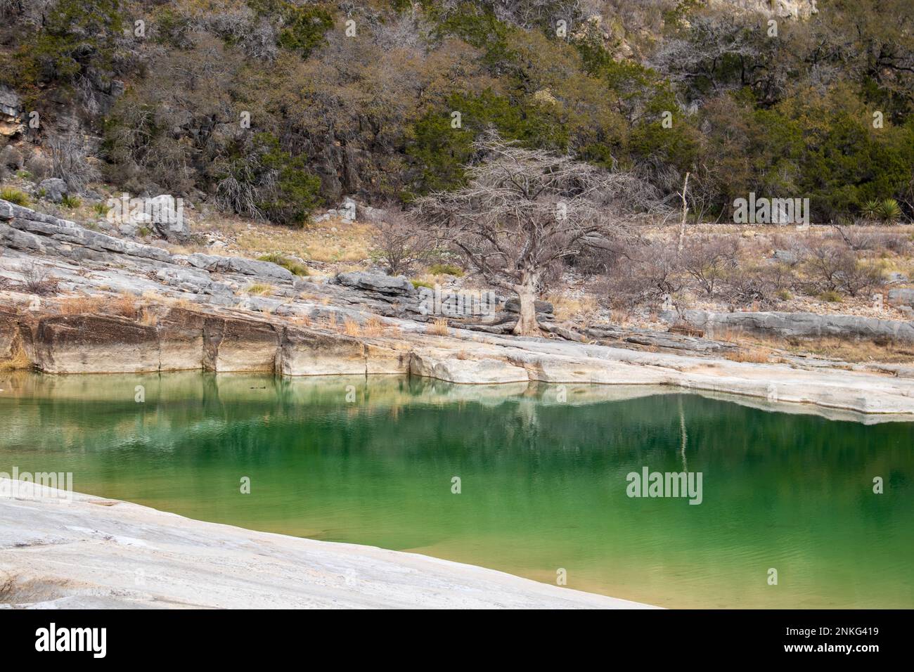 Geologic scenery with limestone backgrounds for a pool of water and a