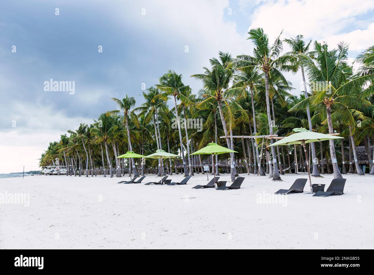 Lounge chairs with umbrella in front of palm trees at beach, Bohol