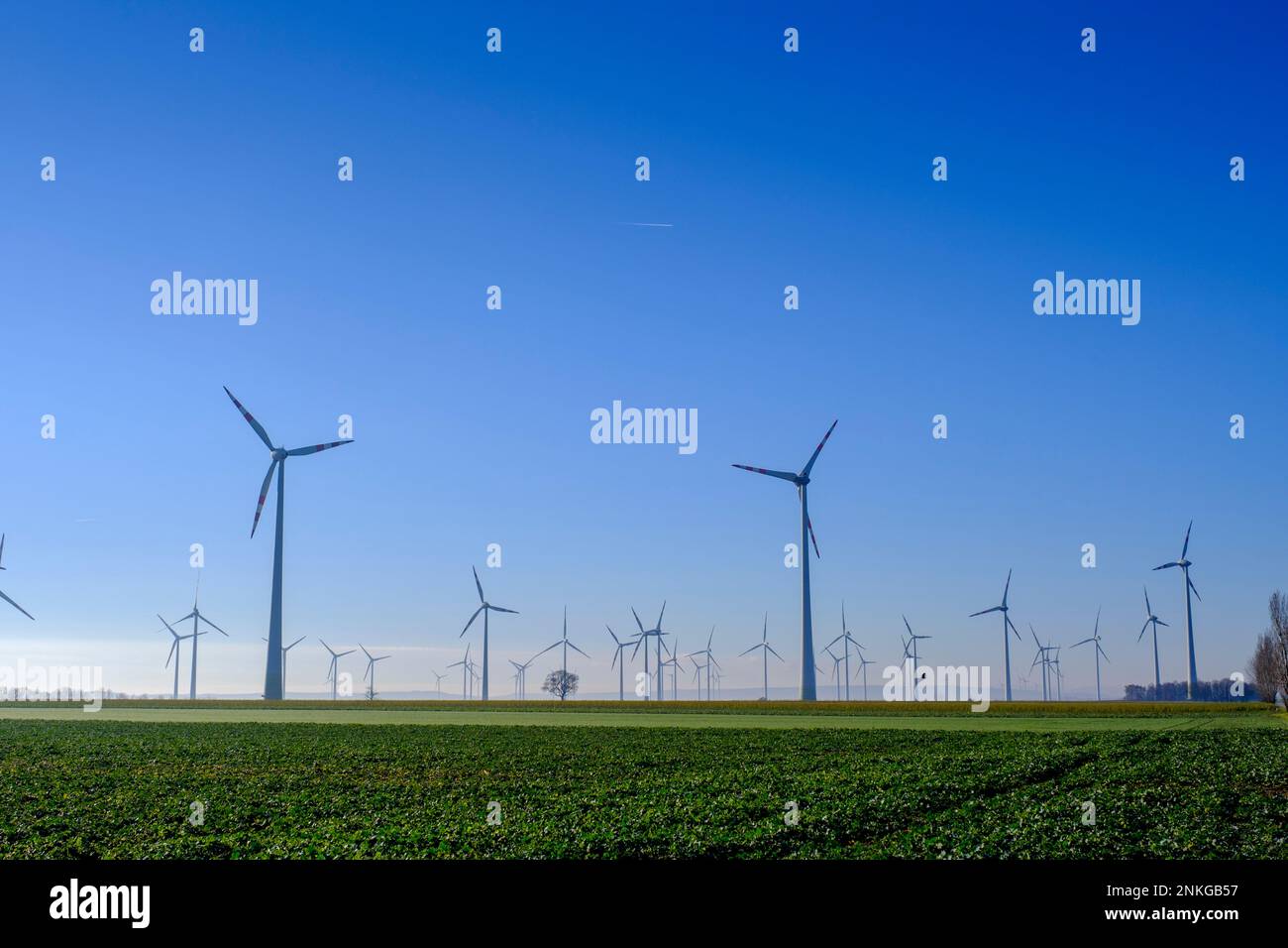 Austria, Lower Austria, Petronell-Carnuntum, View of countryside wind farm at dusk Stock Photo