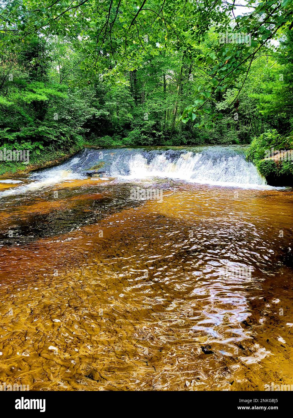 A scene of Trout Falls on the La Crosse River in the Pine View Recreation Area is shown Aug. 14, 2022, at Fort McCoy, Wis. The recreation area includes acres of publicly accessible land with hiking trails, Pine View Campground, Whitetail Ridge Ski Area, and Sportsman’s Range. Pine View Recreation Area offers four-season, year-round activities to include camping, hiking, fishing, and more. See more about the area at https://mccoy.armymwr.com/categories/outdoor-recreation. In 2022, the recreation area celebrated 50 years in use and the area is managed by the Fort McCoy Directorate of Family and Stock Photo