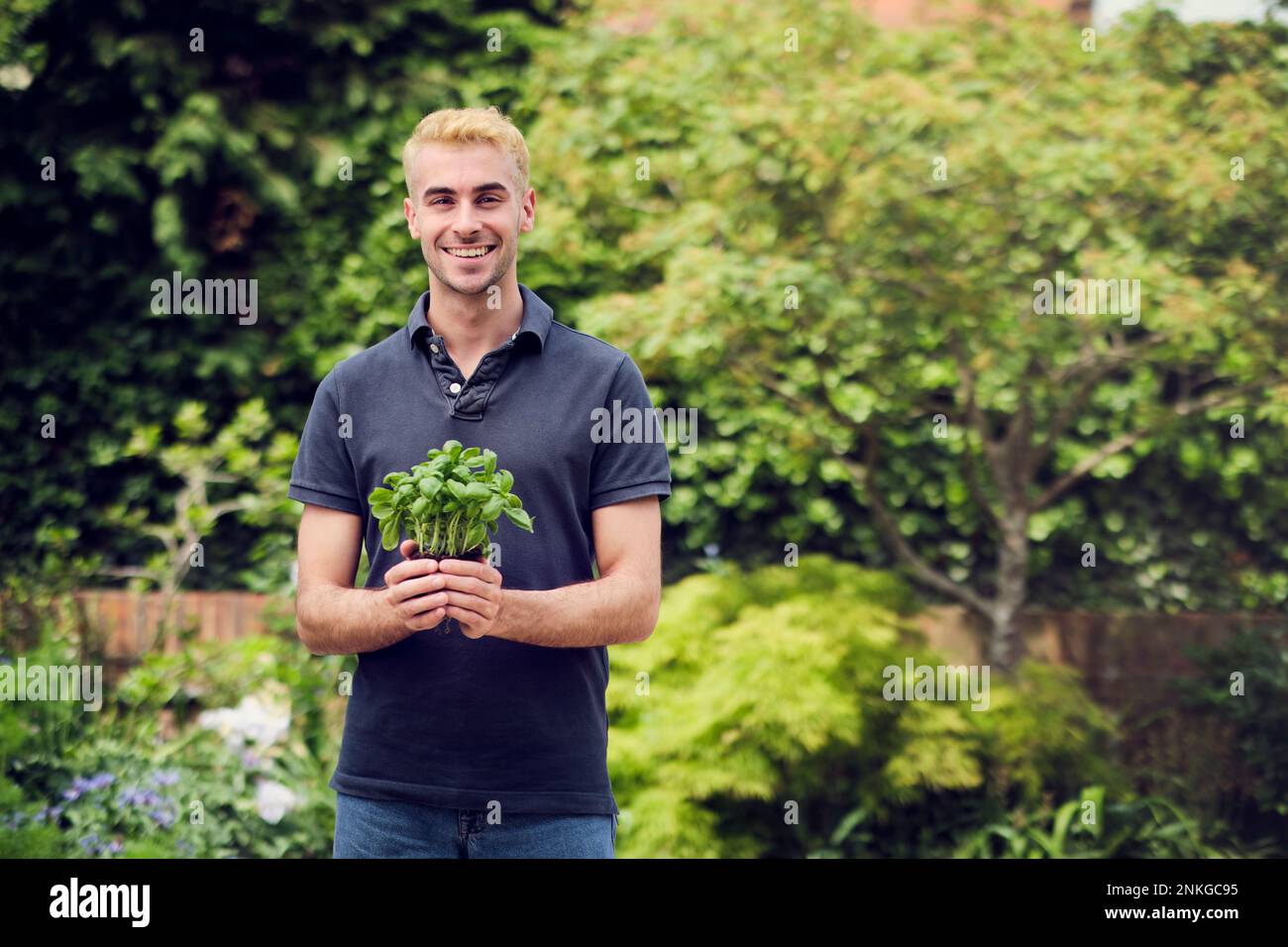 Smiling young man holding plant at back yard Stock Photo