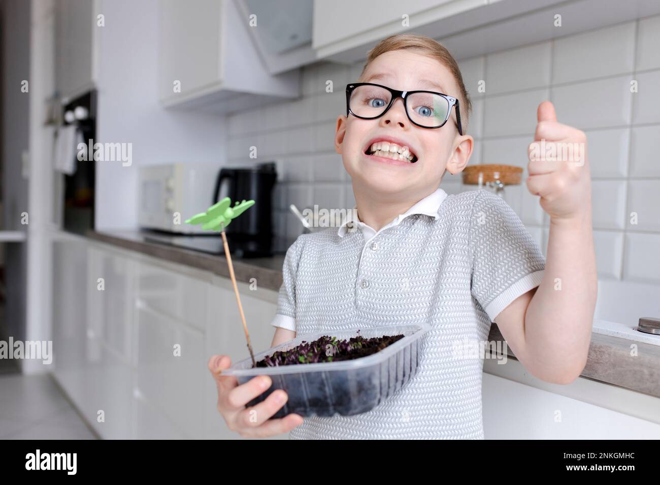 Happy boy holding herb plant and gesturing thumbs up at home Stock Photo