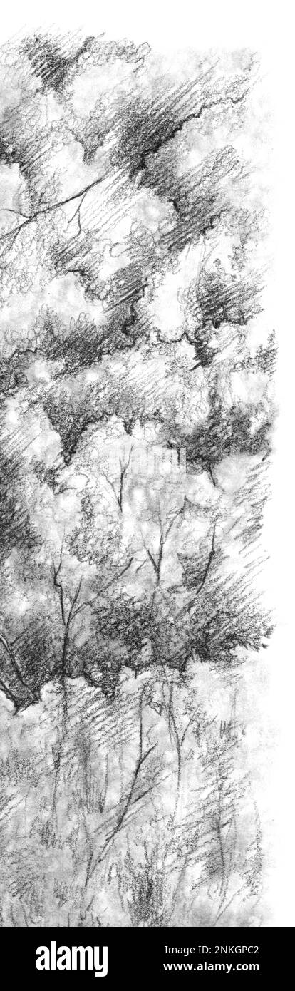 Nature pencil drawing HD wallpapers | Pxfuel-saigonsouth.com.vn