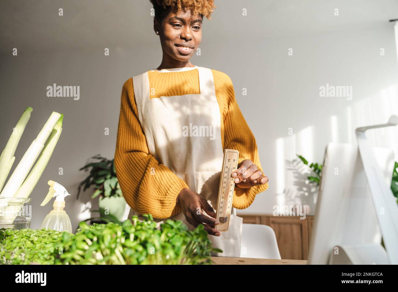 Happy blogger doing a video tutorial at home Stock Photo - Alamy