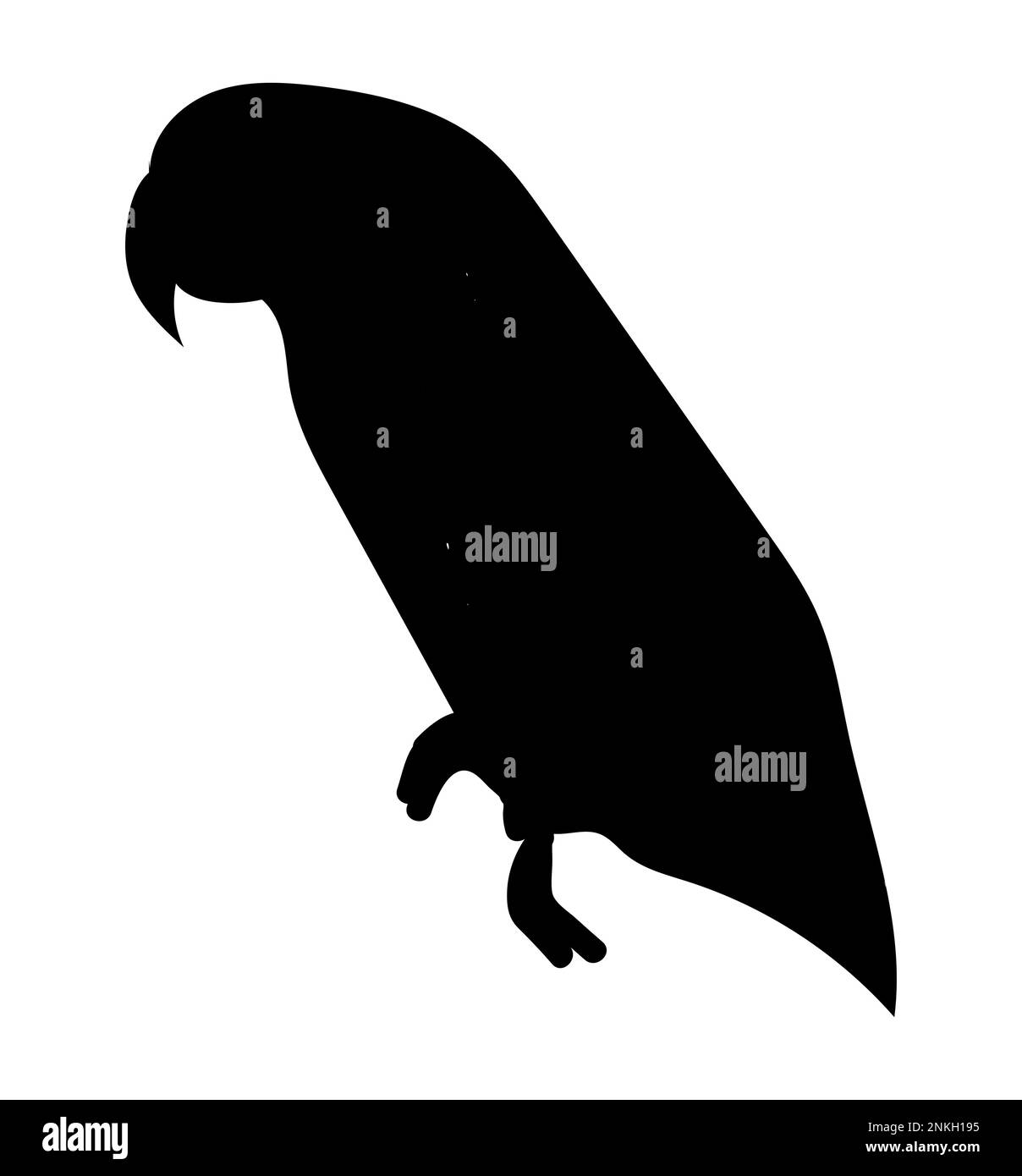 Silhouette of a parrot budgie. Vector illustration of a budgerigar parrot. Side view, logo, icon Stock Vector