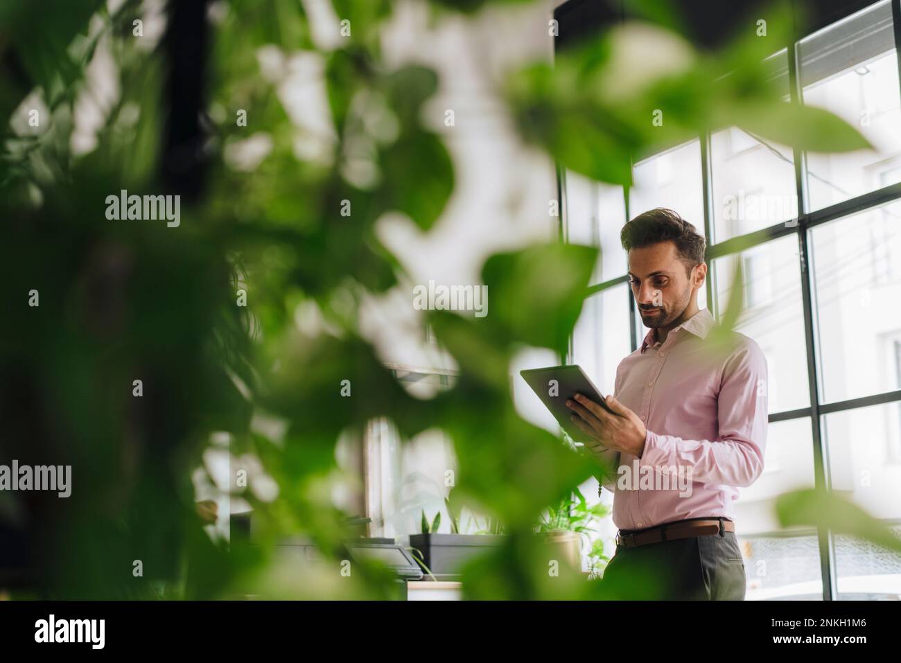 Mature businessman using tablet computer in office Stock Photo
