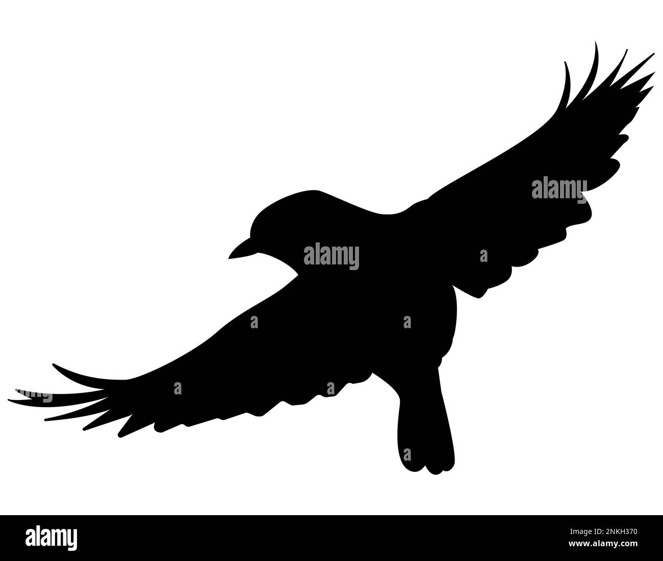 Flying bird like sparrow dove pigeon silhouette, landing with open ...