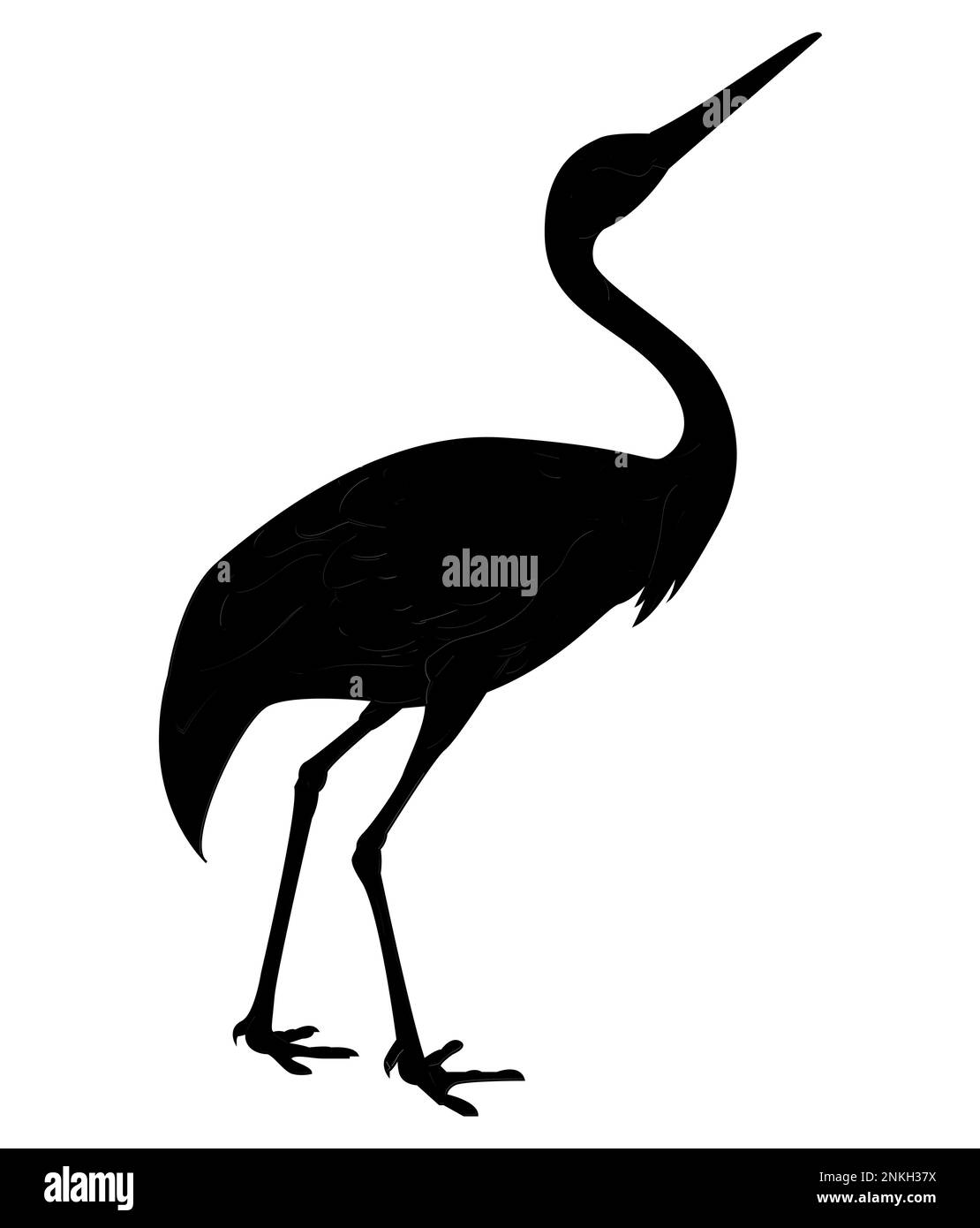 Black silhouette of Sandhill crane, isolated on white. Grus cannadensis logo and icon Stock Vector