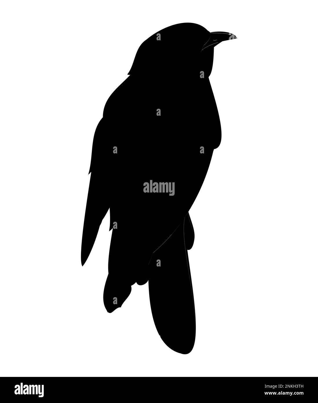 Sparrow bird silhouette. Flat cartoon character design. Bird icon Stock